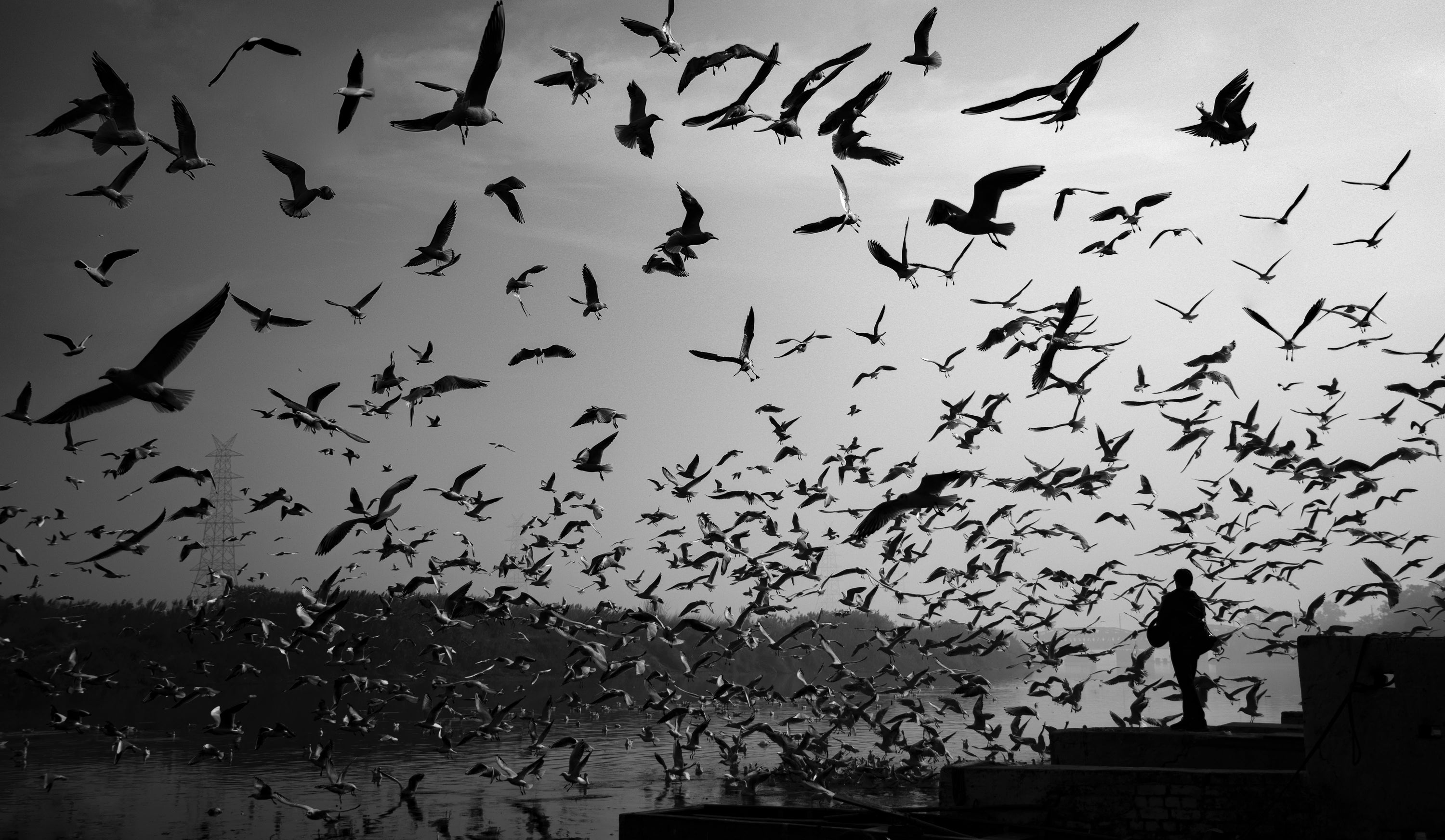 Migrations for Shopify - An Introduction