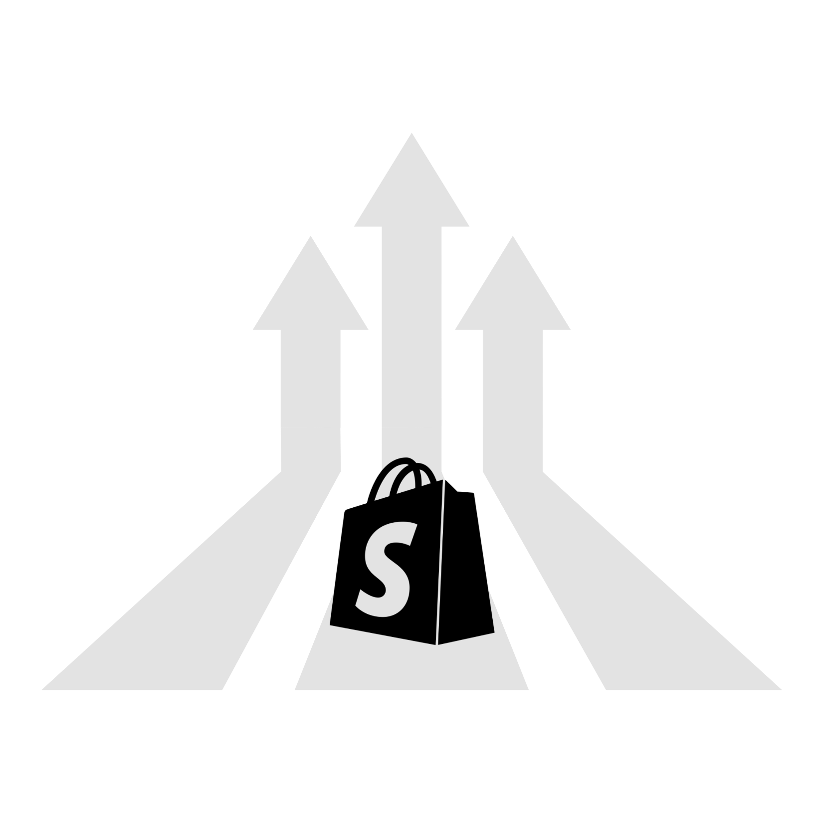 Shopify ecommerce journey