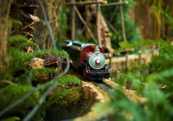 Hobbytech Toys ups its game on Shopify Plus