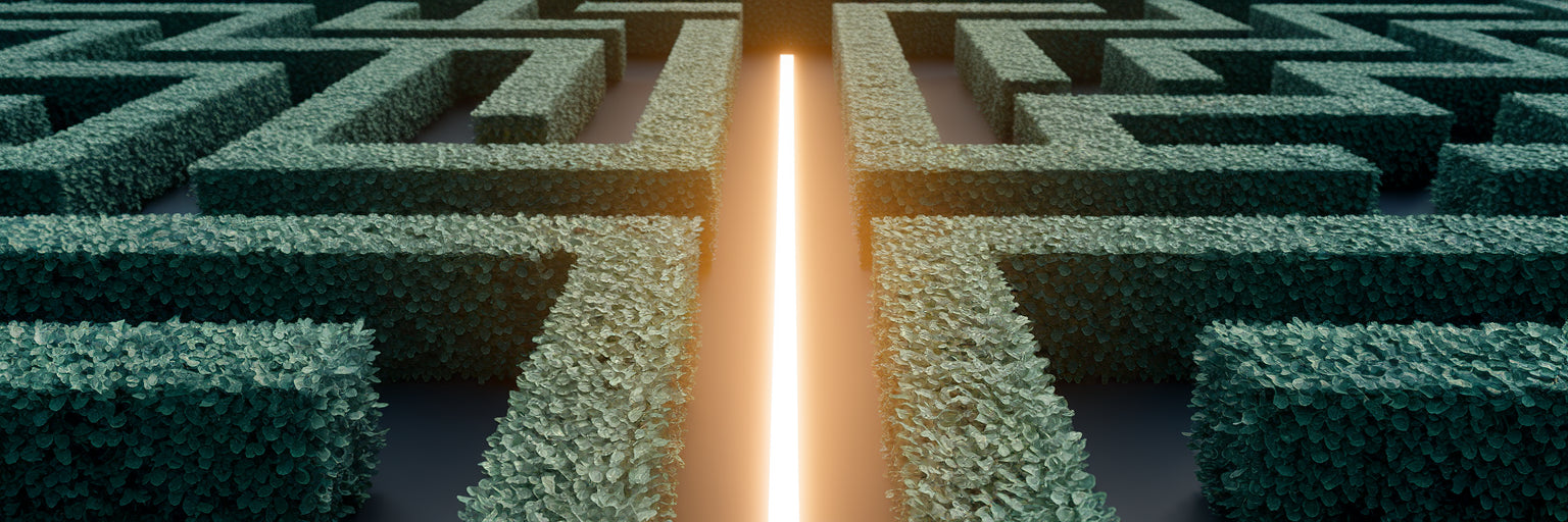 Illuminated clear path through Australian hedge maze.