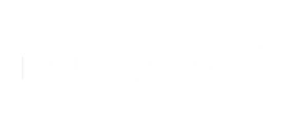 Patagonia - Shopify Plus store developed by The Hope Factory